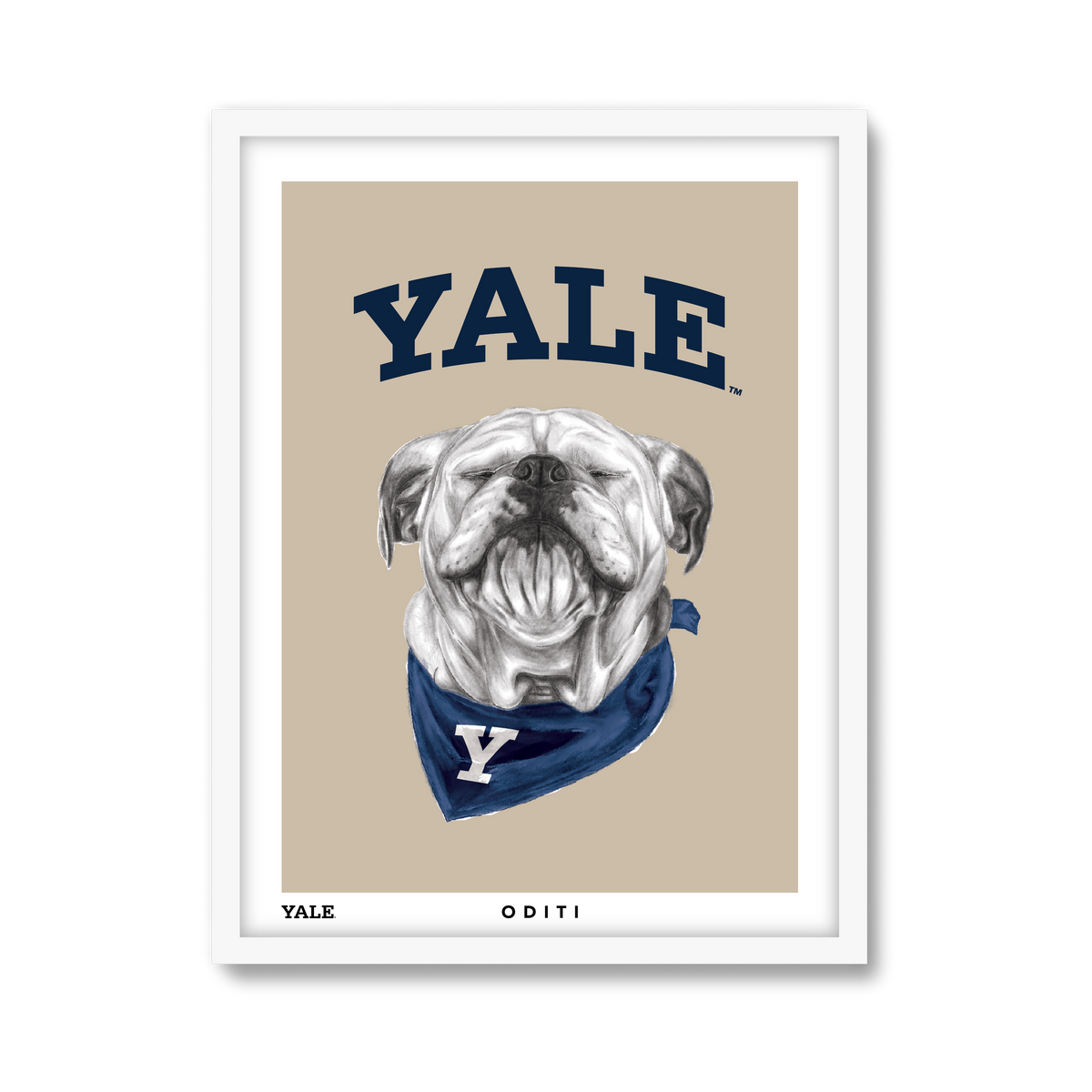 white-frame.png