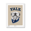 white-frame.png