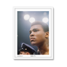 white-frame.png