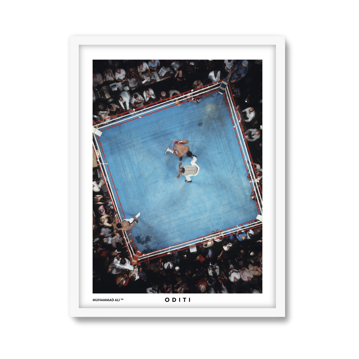 white-frame.png