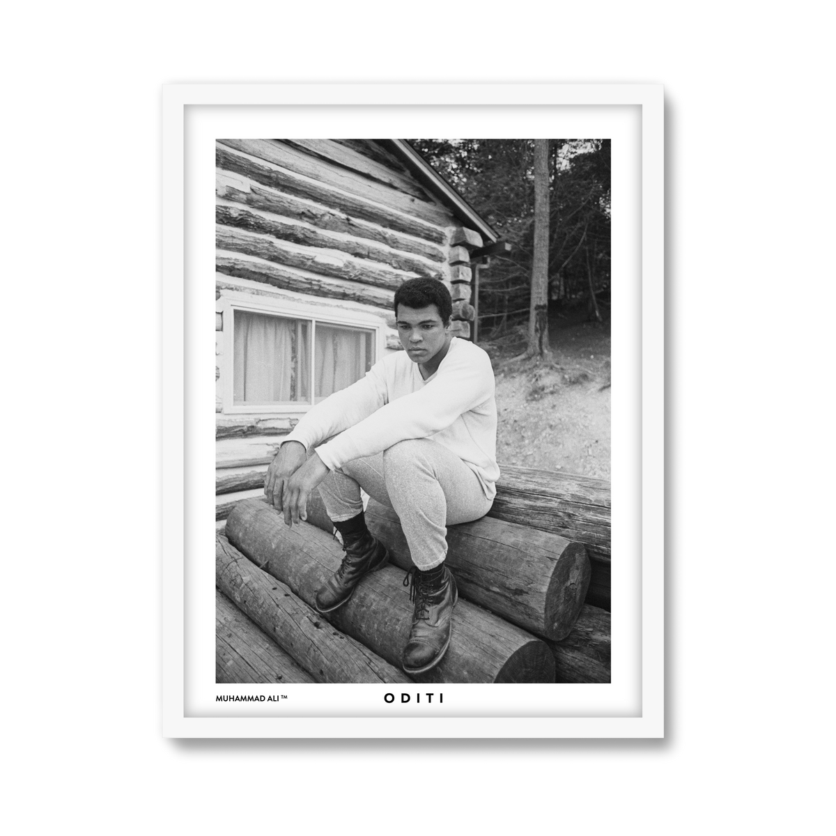 white-frame.png